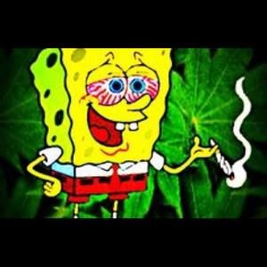 Meet your Posher, Pootie